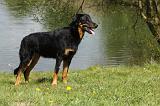 BEAUCERON 587